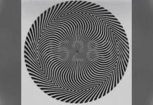 Espiral em preto e cinza com números discretos no centro e preenchimento desfocado nas laterais.
