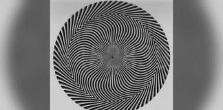 Espiral em preto e cinza com números discretos no centro e preenchimento desfocado nas laterais.
