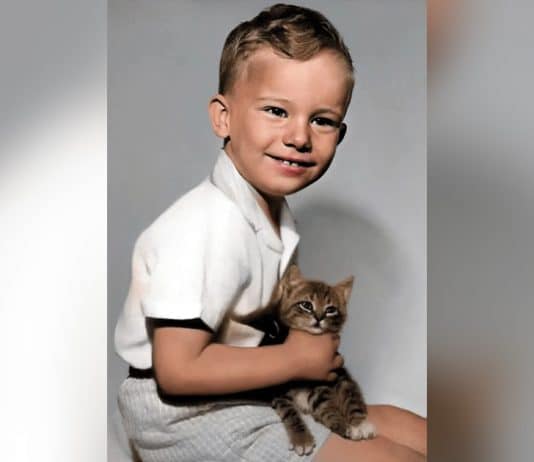 Menino de camisa clara segurando um gato no colo, com fundo cinza.